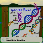 Irreverent Health - 031 -home-brew-genetics